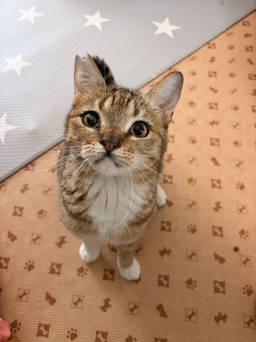 LuckyStar111222's tweet photo. なんだね。笑 https://t.co/rAiSqAMGCL