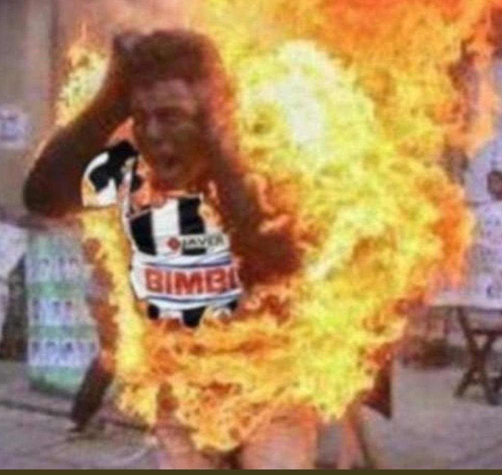 El tigre mayor tweet media