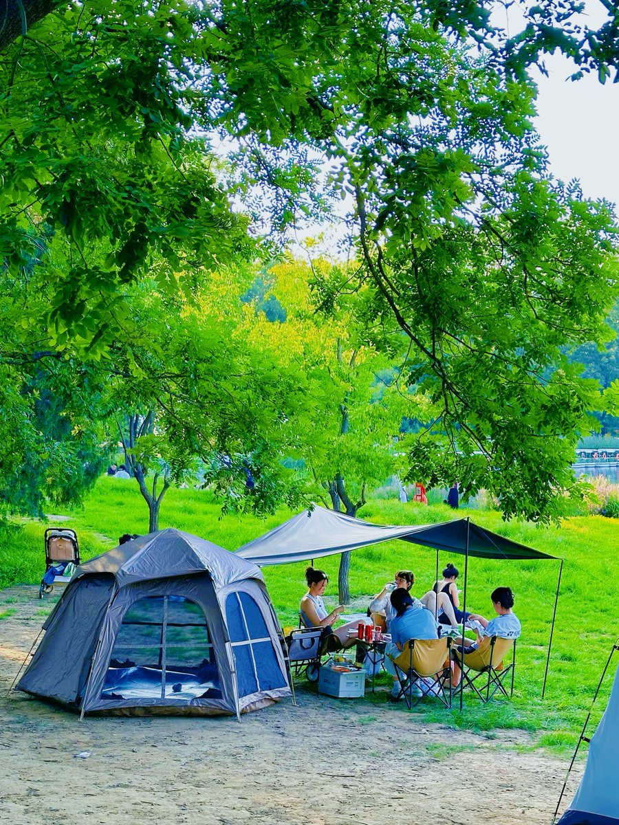 HAPPY_easY15's tweet photo. Woke up to the mountain breeze, coffee in hand, and no alarm clock. This is the kind of reset I needed.  #CampingVibes， https://t.co/LdQpiB1yAJ