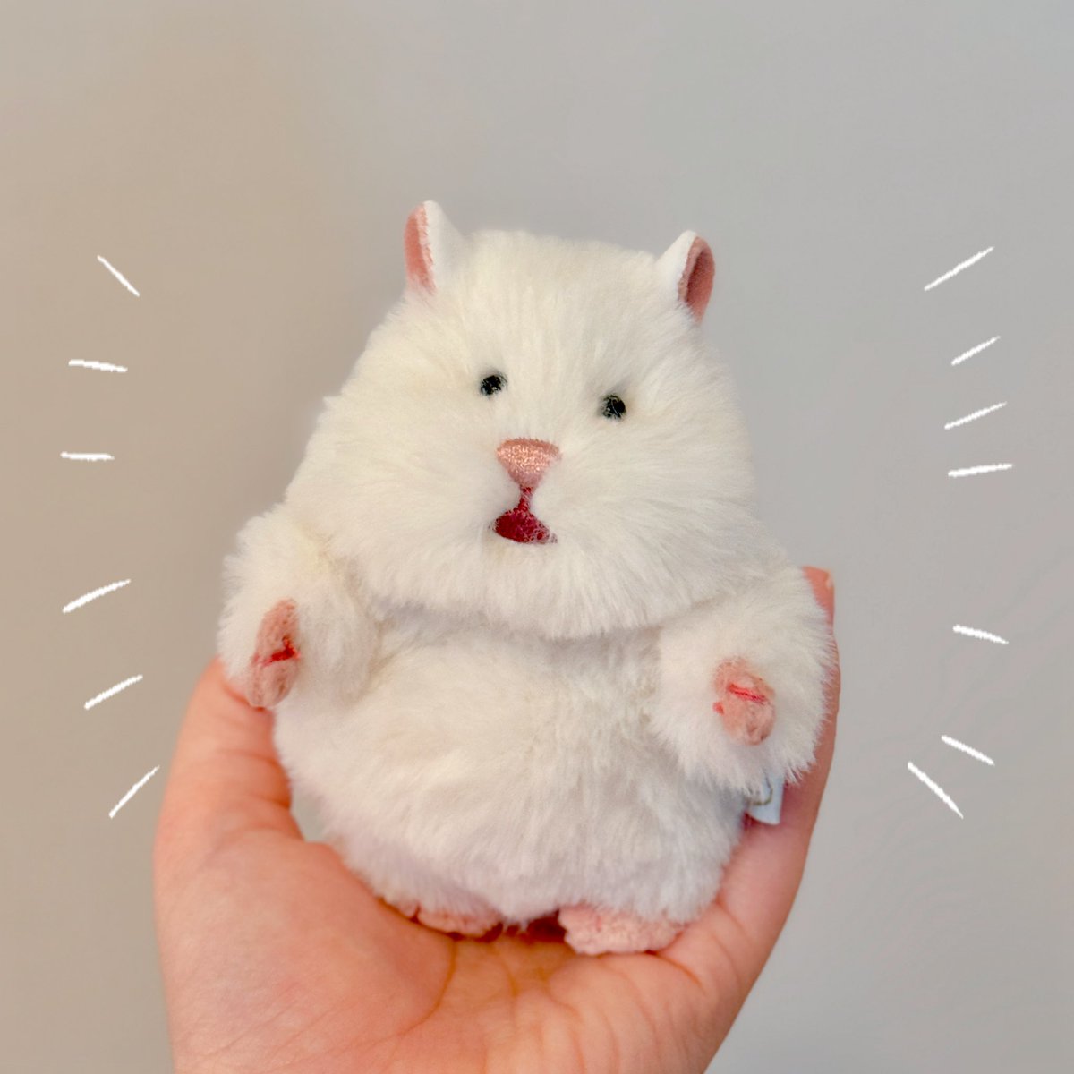 rata_lulu's tweet photo. はむにぎり おもちちゃんrata家へようこそ🏠

到着→ブラッシング→トリミング✂️

お目目がよく見えるようになりました🫶🏼 https://t.co/uAi7p0O9nj