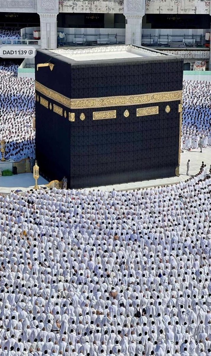 🖤شاہ_زادی tweet media