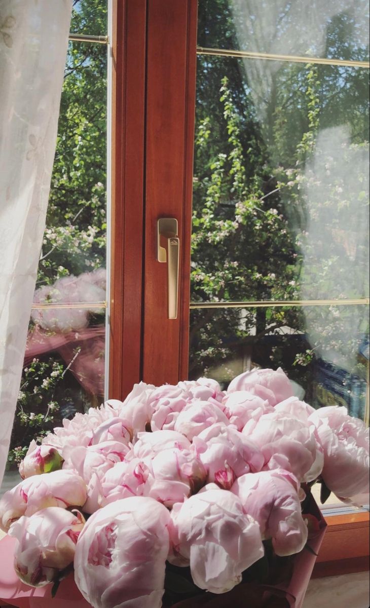 Flowerslovers44's tweet photo. https://t.co/UHlG1Y6kC4
