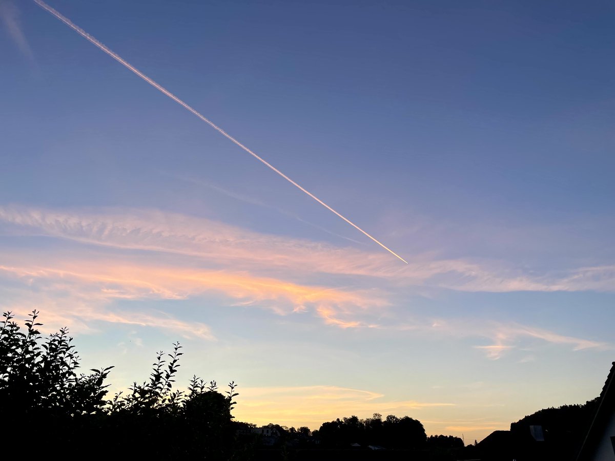 LeaRotenbach's tweet photo. Guten Morgen 🍀 https://t.co/YxEDGGohFV