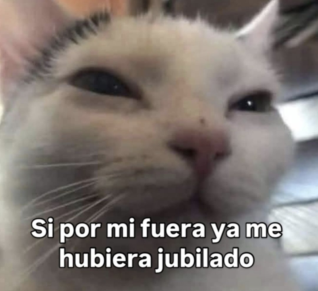 Animalesaprieto's tweet photo. https://t.co/4v3fjClG7E