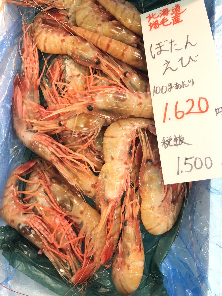エビ吉さま Post by 吉池 on X: エビ🦐🦐