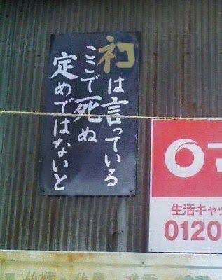 jampad's tweet photo. @omoroitwt1985 ご本尊様を無碍にすると
祟られます。

特にクロネコはね。 https://t.co/Xmf9RT9qeU