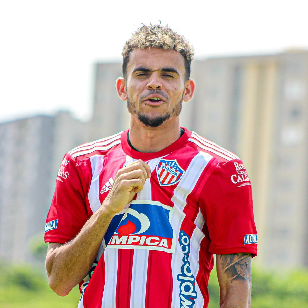 Pelo e’ Burra tweet media