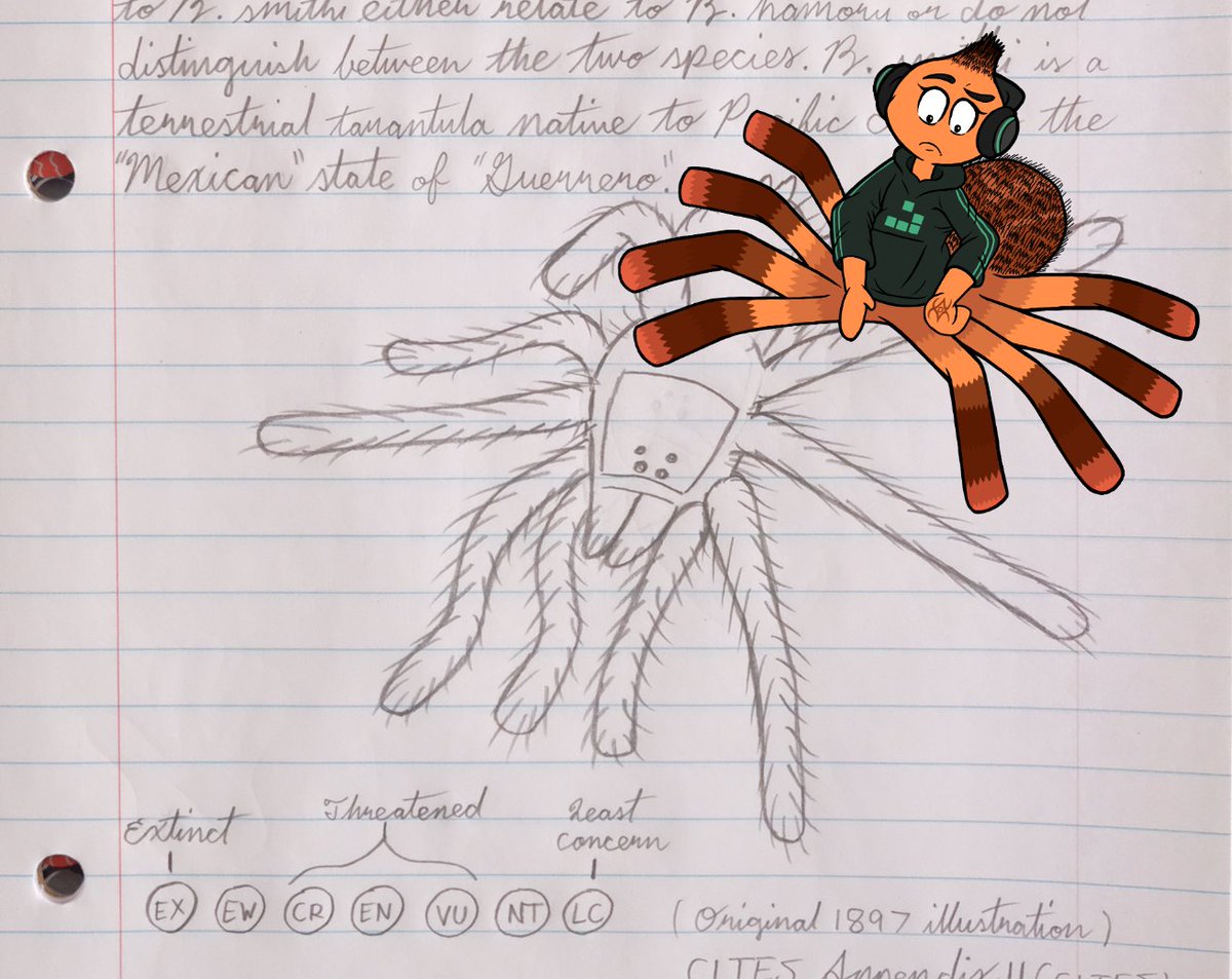 SandersKat94539's tweet photo. #PinkDiamond #HankBadWolf #SuperSmashBros #StarlightZone #SuperSmashUltimate #TheBadGuys #MsTarantula @wiley207 @thebadguysnews
Ms. Tarantula/Webs in Katie's Science Notebook! 🕷️ https://t.co/GMNSRhiozS