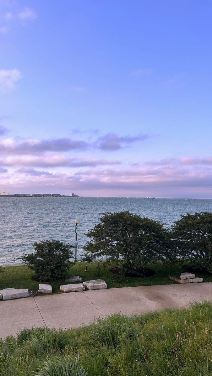 sunshrew's tweet photo. I would die for my country of chicago https://t.co/I9WJvirUTM