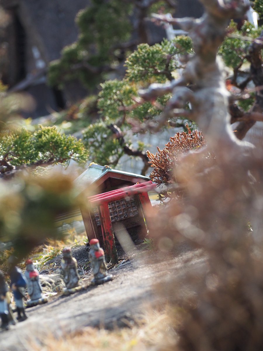 Toiro_1077st's tweet photo. #大学生　#カメラ初心者
#ミニチュア　#写真部　#一眼レフ
#東武ワールドスクウェア　#栃木
#Japan  #タップ推奨 https://t.co/OXPqRrhT4u