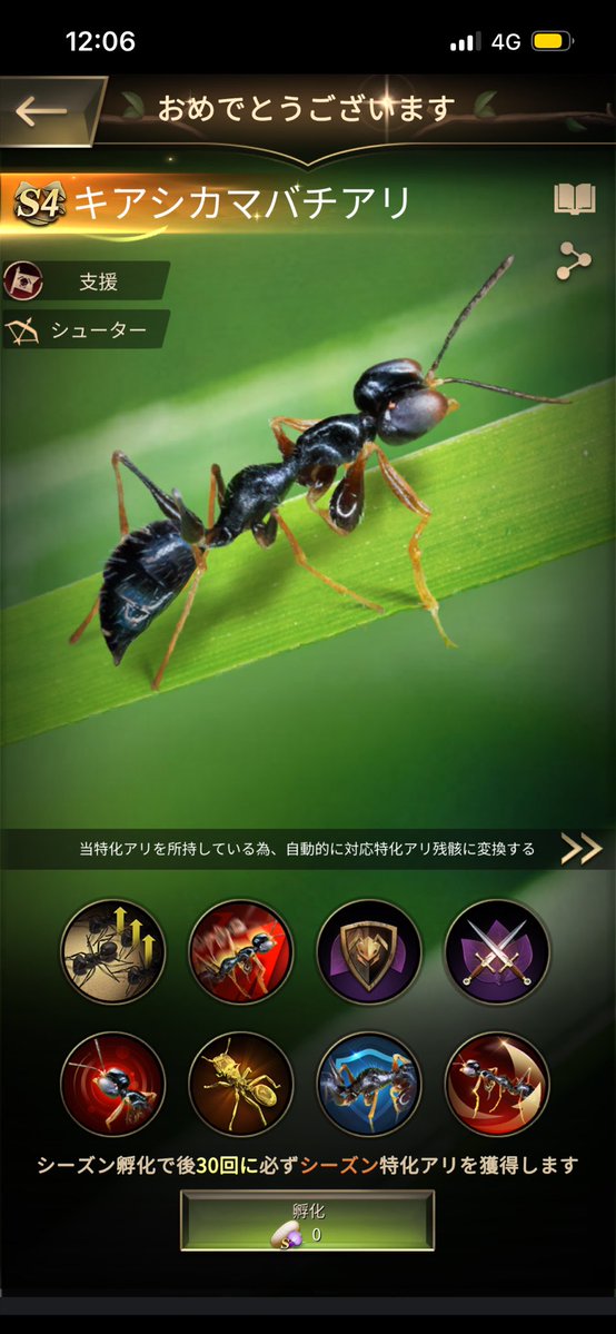 venus_ants's tweet photo. 幸運値は🏳️‍🌈
キアシはやっと2体目！ https://t.co/xKVKw0y59K