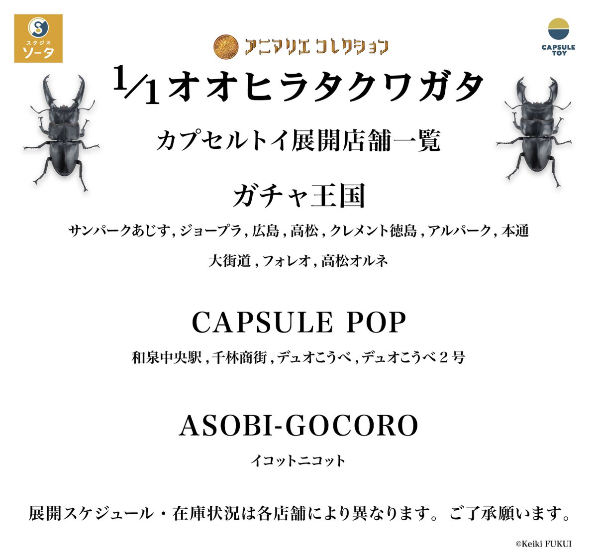 ✨発売店舗のご案内✨ カプセルトイ 『アニマリエコレクション 1/1オオ