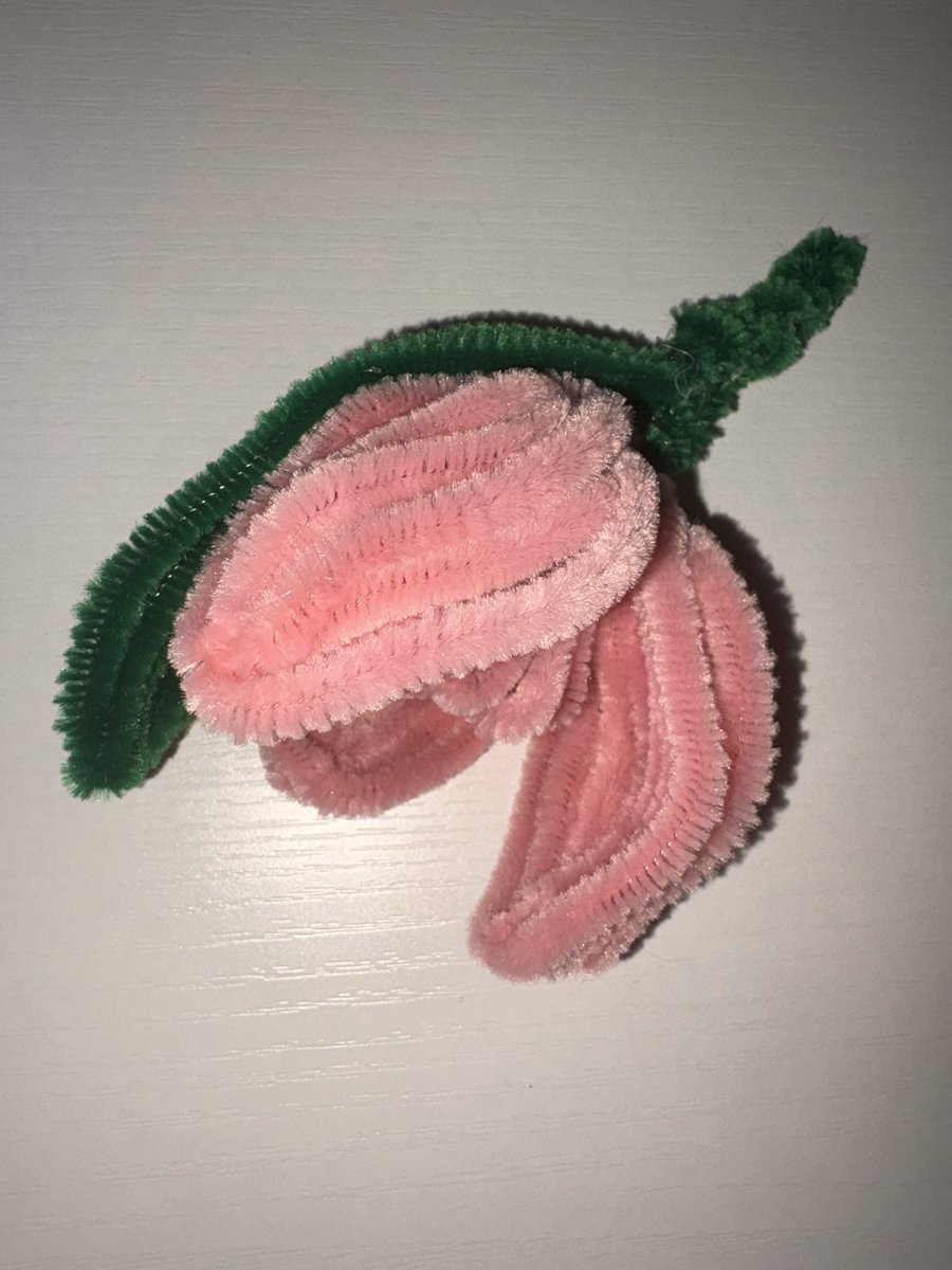 Blndehairedbrat's tweet photo. She made me a tulip out of pipe cleaners I’m gonna sob #wlw #lesbiantwt https://t.co/m6i2ERCfcR