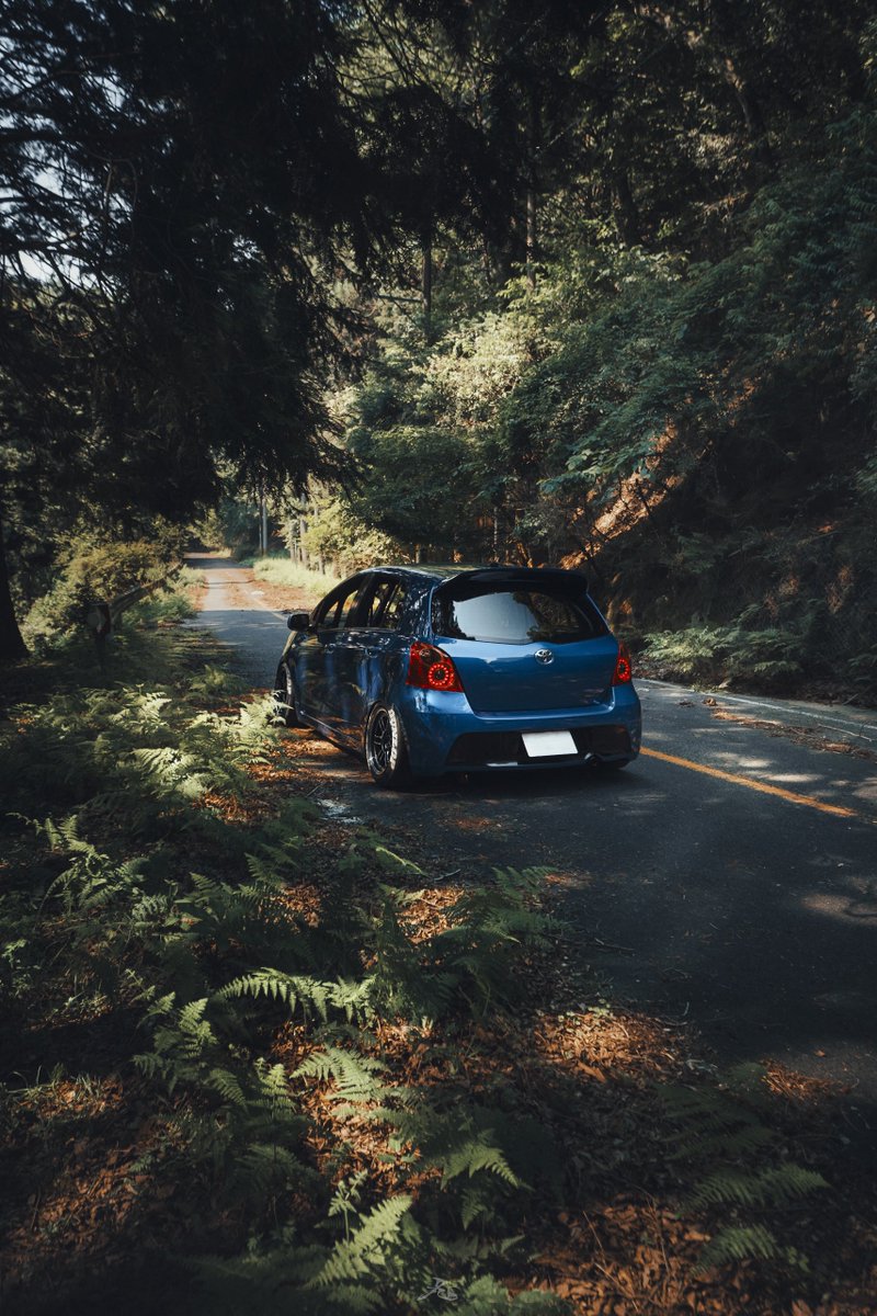PEANUTS_NEW's tweet photo. Vitz🌳 https://t.co/u6vrhT9X3i