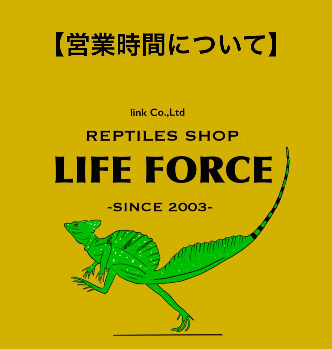 lifeforcepet's tweet photo. 本日所用のためオープンを15:30からとさせていただきます。
ご迷惑をおかけいたしますが宜しくお願いします。 https://t.co/EqSlZTYvzL