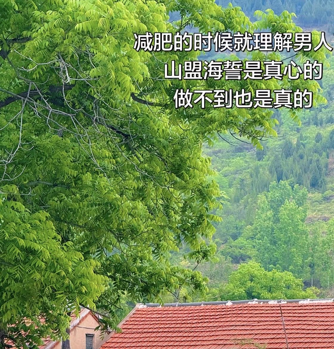 bfxcdgn's tweet photo. 🥹🥹🥹 https://t.co/sTQmhmgTHH