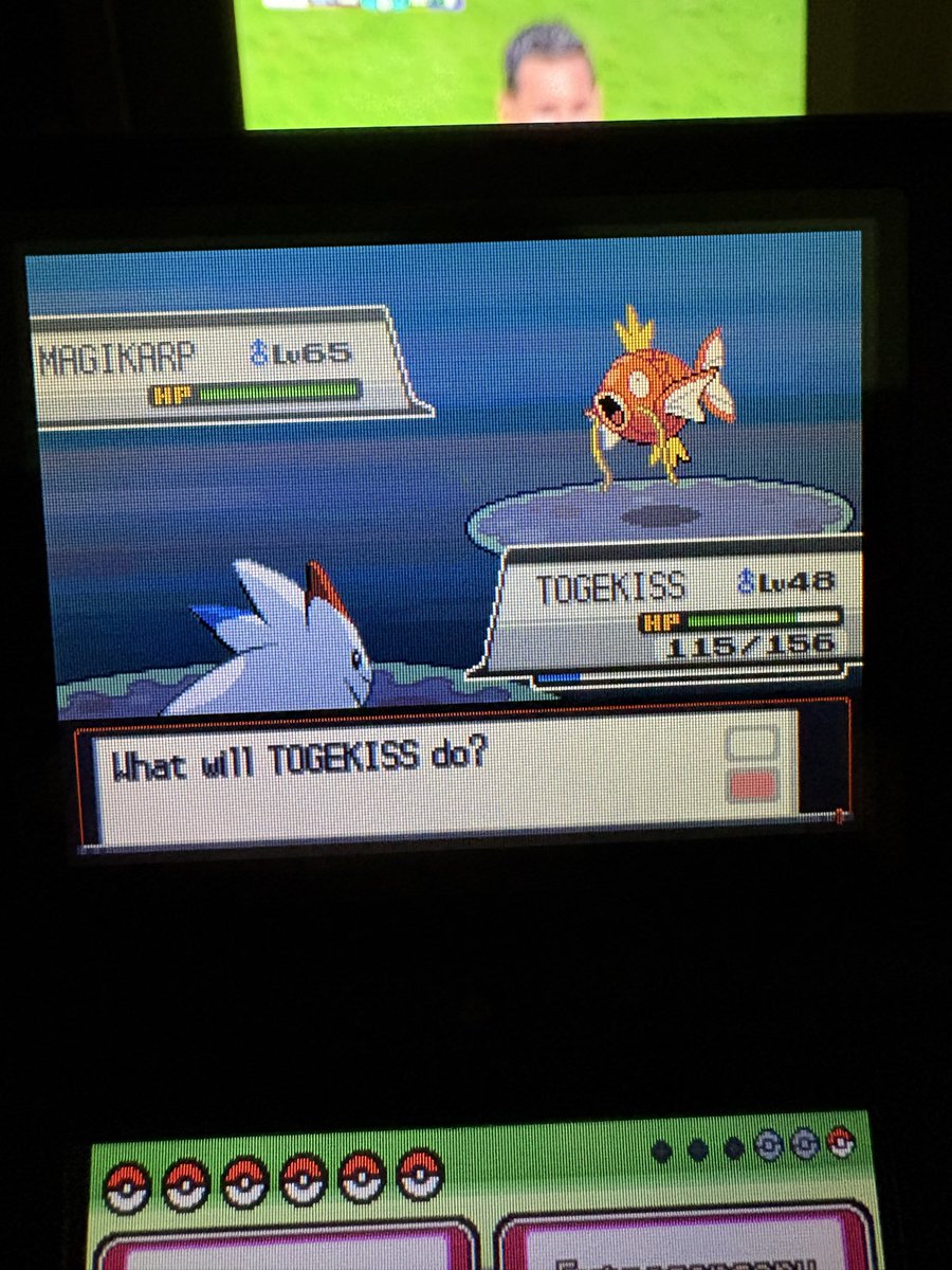 g11berto's tweet photo. ya acabé pokemon fire red, emerald, y esto es lo más tonto que he visto en estos 3 juegos.

Ningún shiny btw https://t.co/G4G6SPQkjq