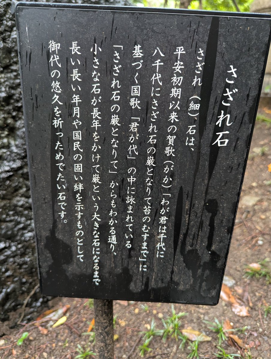 SyncHack's tweet photo. さざれ石なう https://t.co/mPWIVNEr0Z