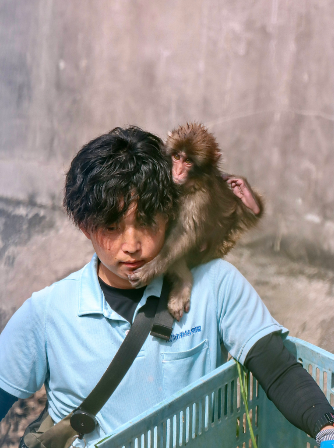 ktsmj1004's tweet photo. น่ารักค้าบบบบบบบบบบบบบบ  ☺️❤️🐒 https://t.co/YdXGOzmBTq