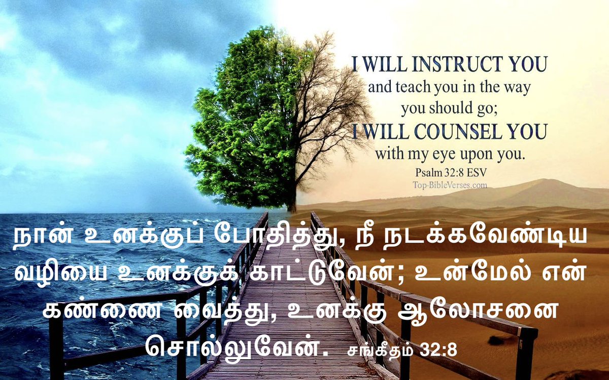 DhamodharanPr's tweet photo. Nice Day to You🙋‍♂️! ஆண்டவர் இயேசுவை தேடுவோம்; அருளைப் பெறுவோம்! Seek the Lord and His Grace! https://t.co/5Z5pkDTKn3