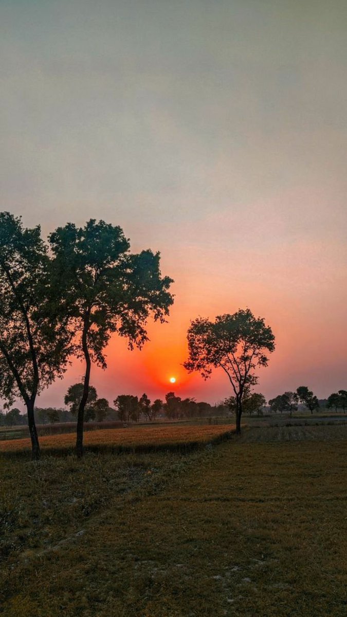 aparnadaskona's tweet photo. আমরা এমন কিছু নই যা অন্য কেউ নির্মাণ কর�� দেয়।
আমরা এমন কিছু, যা আমরা প্রতিদিন নিজের ভিতরে নির্মাণ করি।
আমরা আমাদের ভাঙা অংশ দিয়েই গড়ে তুলি নতুন এক শক্ত ভীত।
__শুভ সকাল 

#goodmorning https://t.co/3q3ynhK1sV