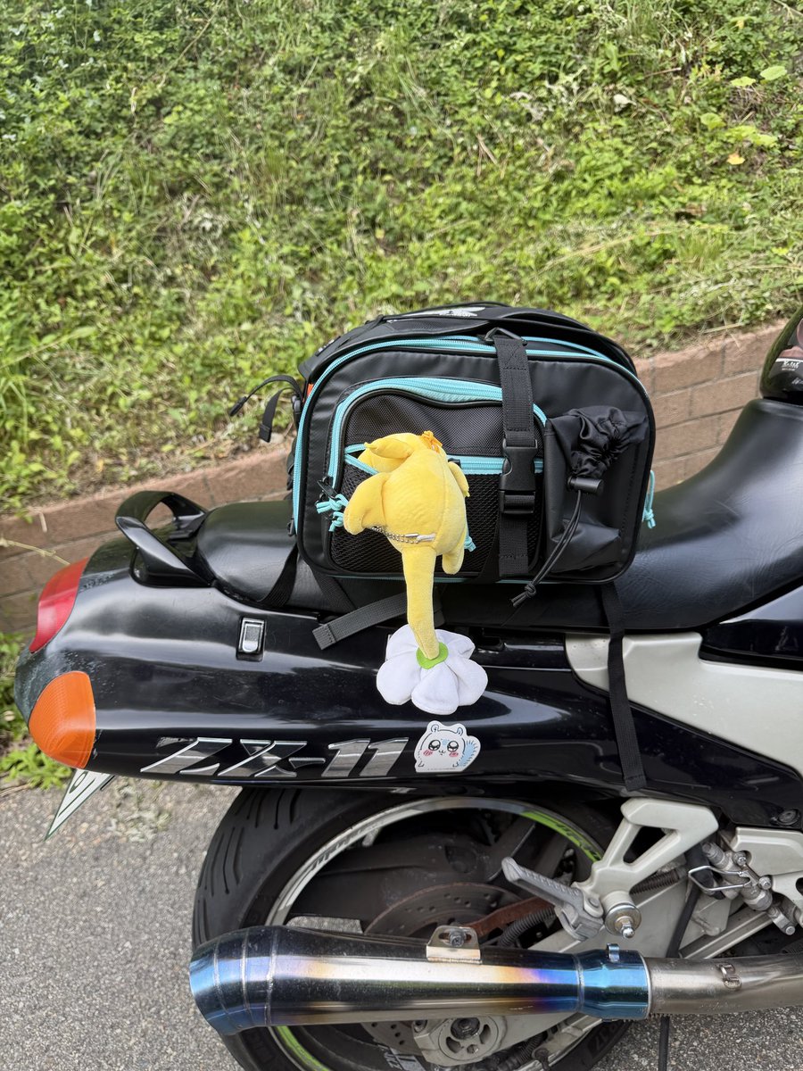 piyotanno's tweet photo. あっちぃ💦
バイク乗りの暑さ対策、教えて🏍️
20日、土曜日21:00〜プレミア公開です⭐️ https://t.co/izL2zN6R3U