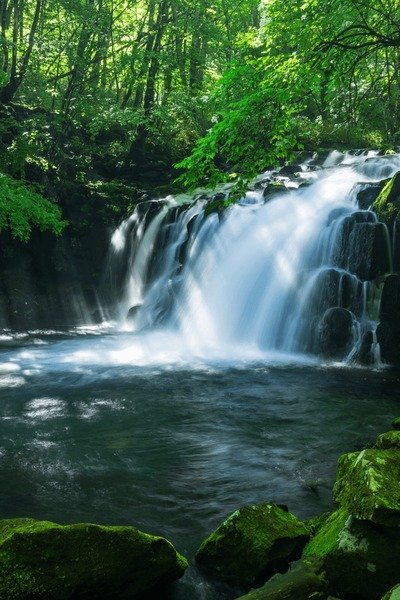 JoyceJ_keter's tweet photo. Let us conserve forests, protect water sources, reduce pollution, and embrace sustainable practices. Every tree planted, every river protected, and every action taken for the environment contributes to a healthier, greener, and more resilient world. #ClimateAction #Sustainability https://t.co/51fo89yedn