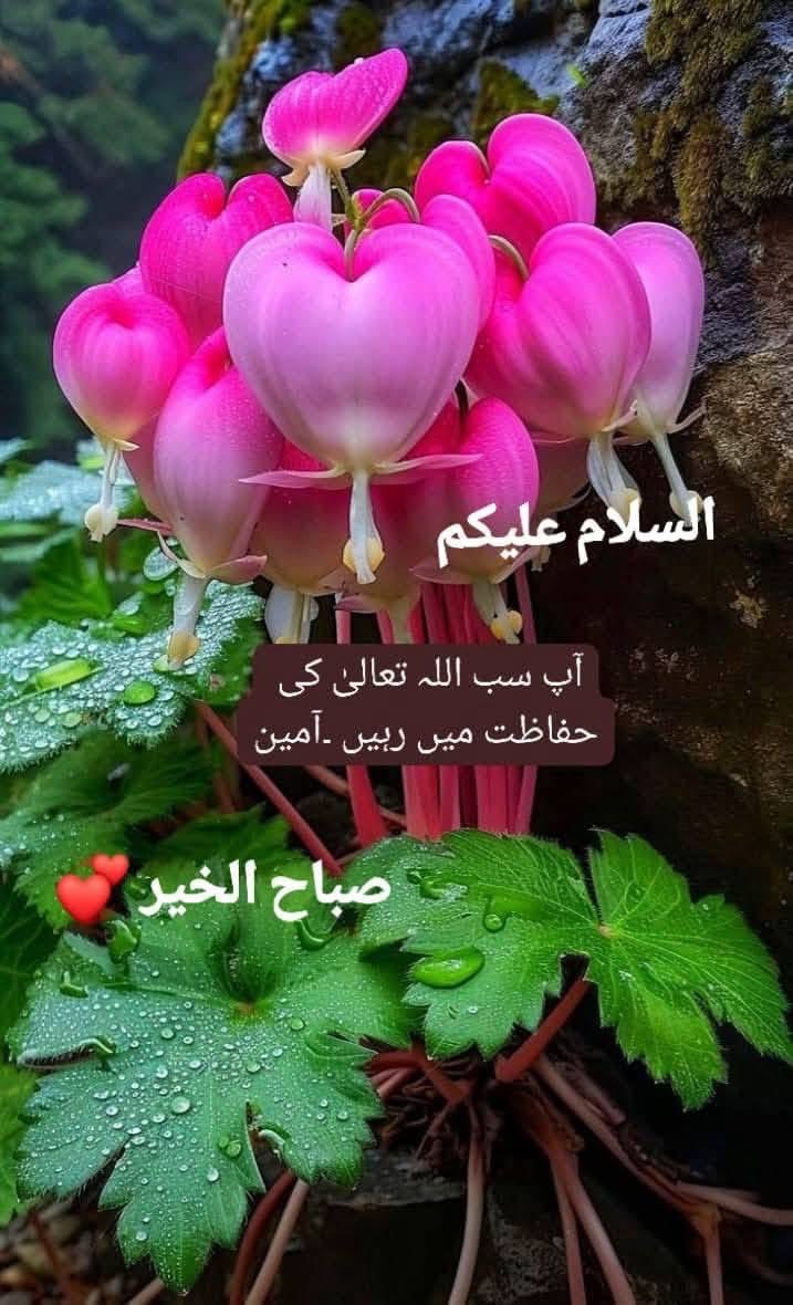 Tea_lover11's tweet photo. #تہی_دامنِ_آرزو
*اگر تم تلاش کر سکتے ہو*
 *تو خود میں اپنی خامیاں تلاش کرنا،*
*اگر تم سن سکتے ہو* 
*تو ان کہی باتوں کی پکار سننا،*
*اگر تم بدل سکتے ہو*
 *تو کسی کا اداس دن بدلنا،*
*اگر تم بن سکتے ہو* 
*تو کسی اندھیرے میں روشنی بننا !!*✨🤍 https://t.co/irXWehpQaS