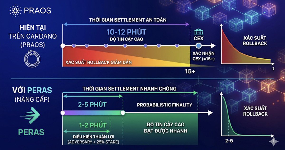 Crypto_Radio_VN's tweet photo. Nâng cấp Peras là một bước tiến quan trọng của Cardano, tập trung vào việc rút ngắn thời gian finality (xác nhận cuối cùng) của giao dịch.

Hiện tại trên Cardano (Praos):
•  Thời gian settlement an toàn thường mất ~10-12 phút (khoảng 15 confirmations hoặc hơn tùy CEX).
•  Xác suất rollback giảm dần theo thời gian, nhưng vẫn cần chờ khá lâu để có độ tin cậy cao. 
Với Peras:
•  Giảm xuống 2-5 phút, thậm chí có thể đạt probabilistic finality trong khoảng 1-2 phút dưới điều kiện thuận lợi (adversary < 25% stake).