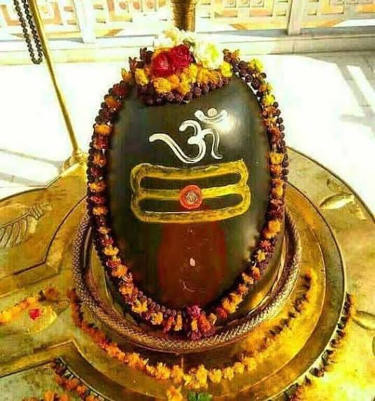 Priyamvada Pandey tweet media