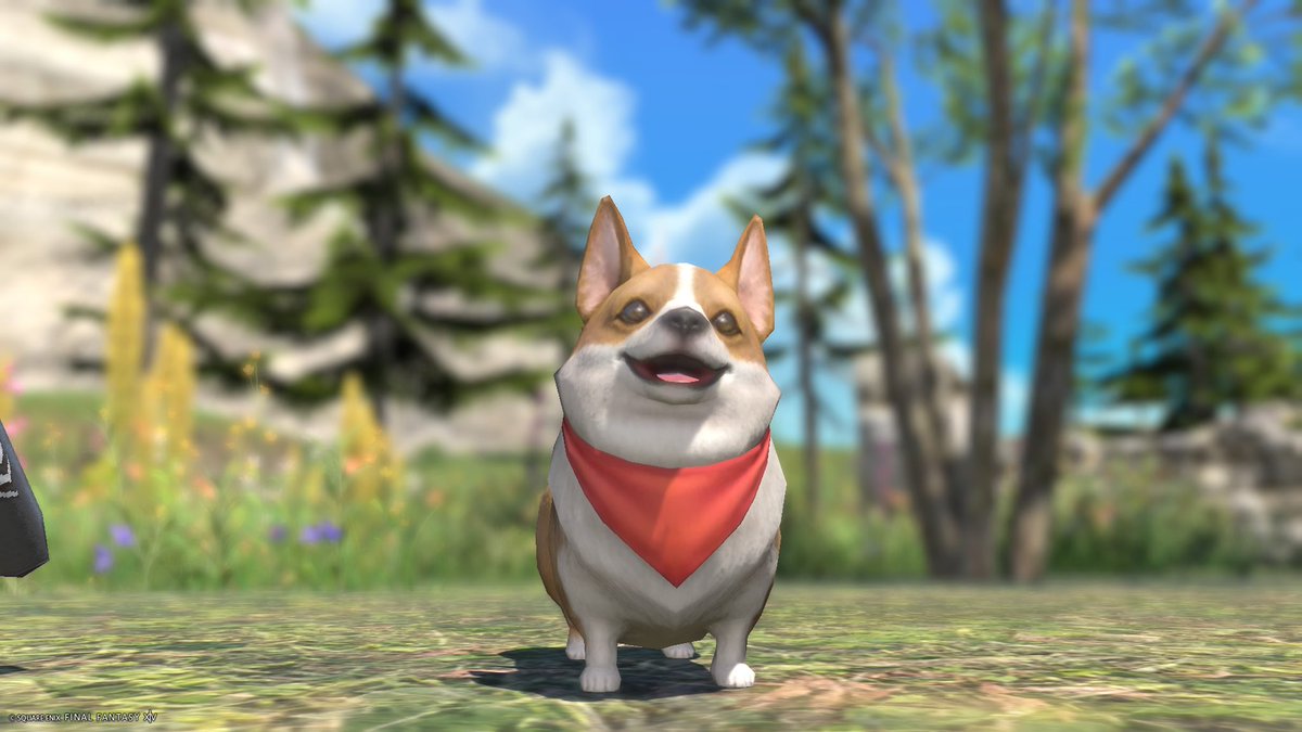 Asvell_'s tweet photo. フレンドがシックスセンスになった！やったー！
#ff14 https://t.co/j3NeU6hofN