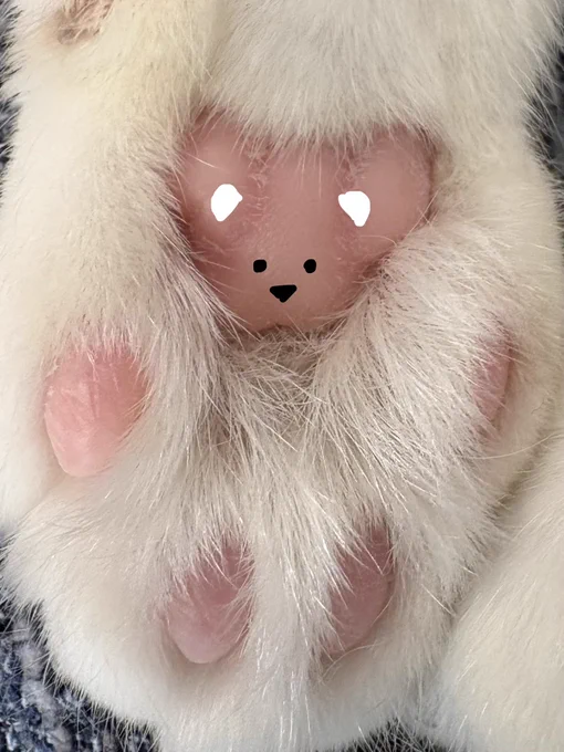 もちちゃんの肉球テディベア