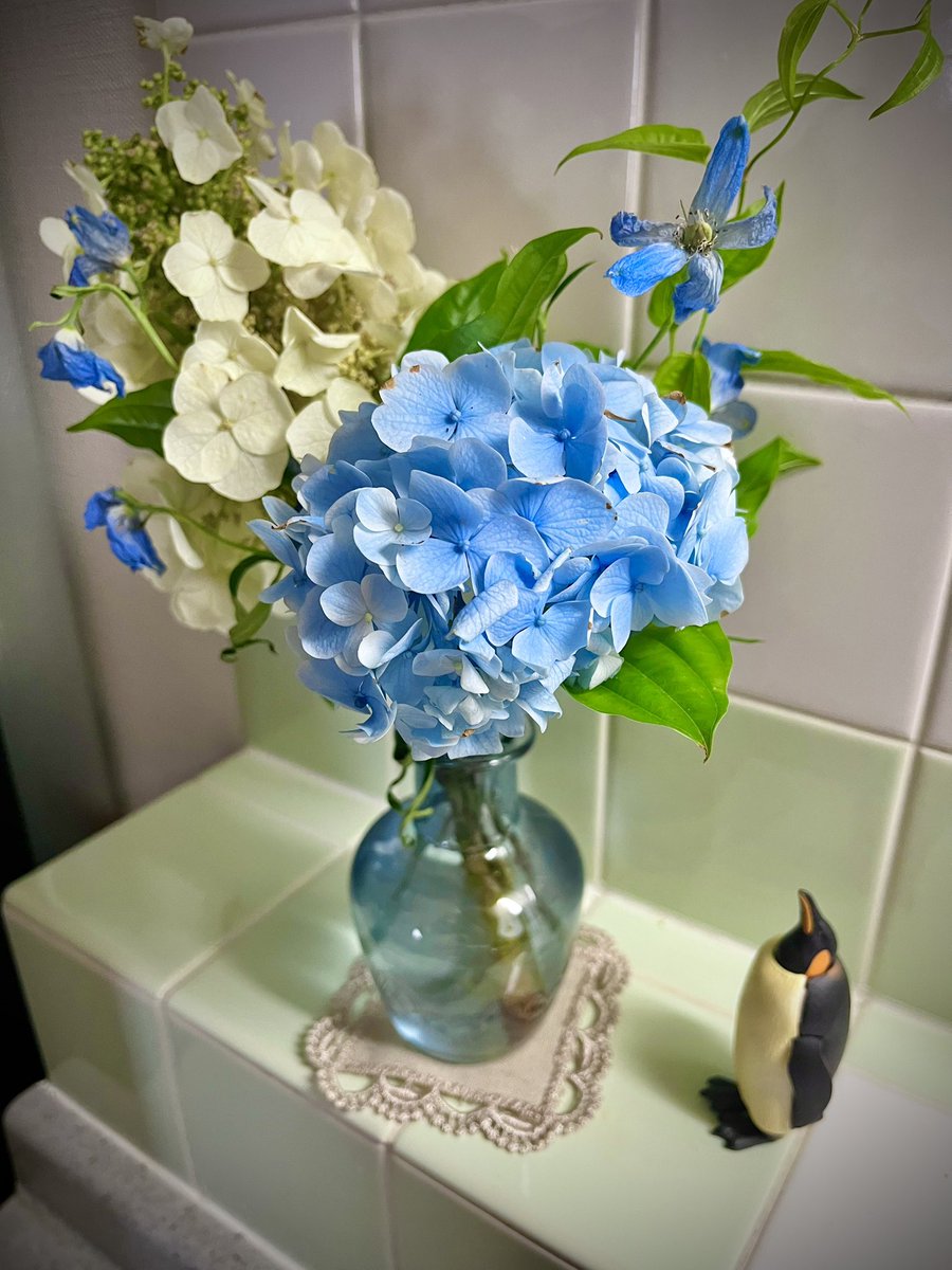 pchipopo's tweet photo. 今月のお花は紫陽花を買ってもらった💠 https://t.co/4TNFO2fxQR