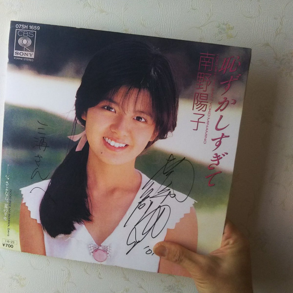 キャンバスボードで思い出したけど、昔、南野陽子(ナンノ)さんのファン