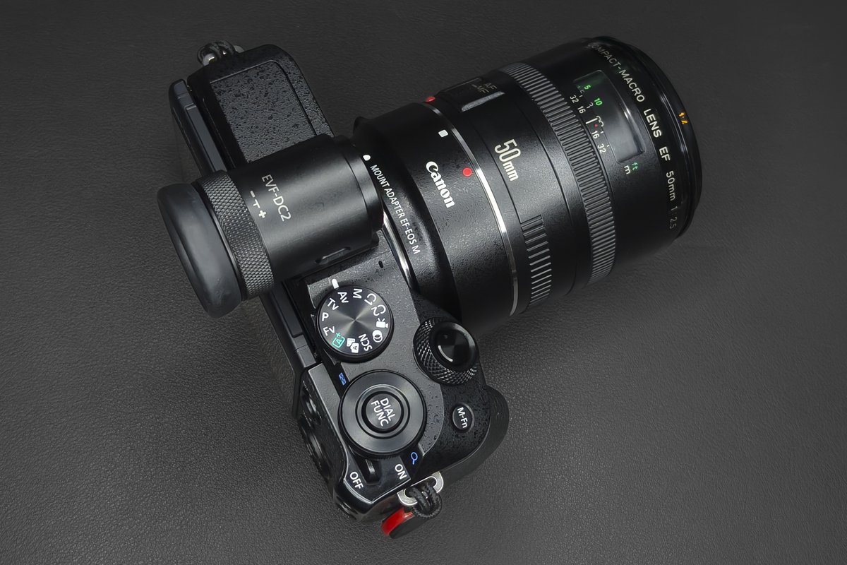 force_s's tweet photo. MNG｜Canon EF 50mm f2.5 Compact Macro
今から40年ほど前に発売された50mmマクロレンズ「Canon EF 50mm f2.5 Compact Macro」
最大撮影倍率は0.5倍の所謂ハーフマクロ。最短撮影距離は0.23m、APS-Cで80mm相当になります・・続きはhttps://t.co/RO6BtCHdPz
Canon #M6Mark2 https://t.co/BhMQbPw9LK