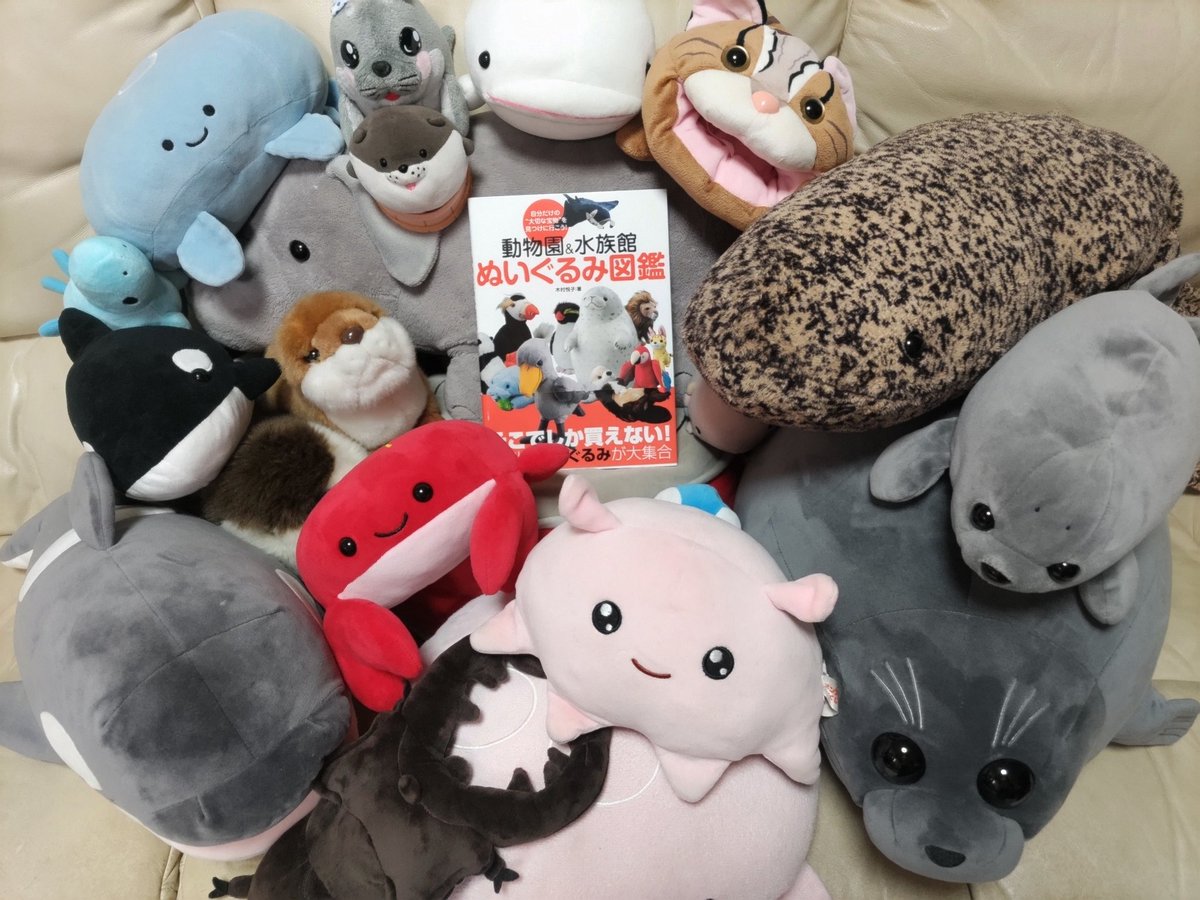106asa555's tweet photo. #ぬいぐるみ図鑑ぬい撮り
動物園水族館に行くたびにぬいぐるみ一匹連れ帰っていいことにしてたら、たくさん増えすぎてヤバい💦この本を読んでさらに次のターゲットが!! https://t.co/tA1CIVw52G