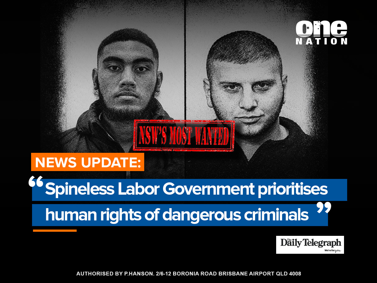 OneNationAus's tweet photo. Another example of our spineless Labor Government in action. The names of nine of NSW’s most wanted individuals have been released, including alleged killers, gang bosses and drug importers. The Government is refusing to take all reasonable steps to pursue these abhorrent individuals abroad in order to protect their human rights. The Daily Telegraph reports that the Labor Government is often refusing to apply to Interpol for “red notices” to pursue these people because they are often in countries that have the death penalty. Why is the Labor Government putting the rights of these serious criminals before justice and the safety of law-abiding Australians?