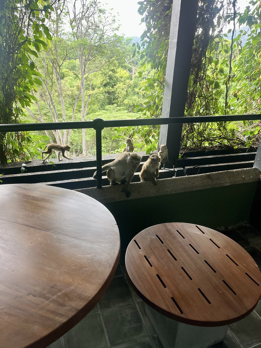 wahsretep's tweet photo. Morning meeting. https://t.co/AOiwfjOtmH