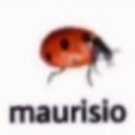 Kᥲr᥆ᥣᥱᥒᥒ᥆ᥒ tweet media
