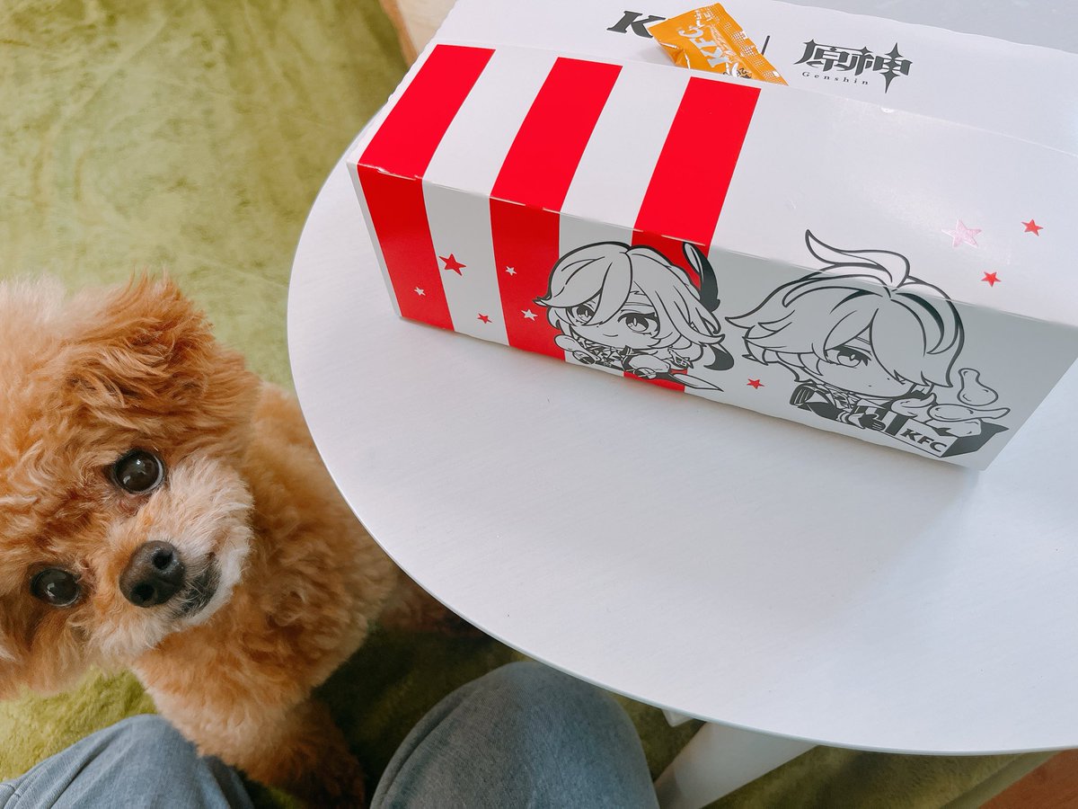 honda_mosamosa's tweet photo. あ、これ載せてなかった。
うちのここあと原神ケンタッキーコラボ。
#うちのここあ https://t.co/xpWFZQDMc3
