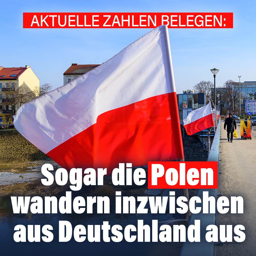NIUS tweet media
