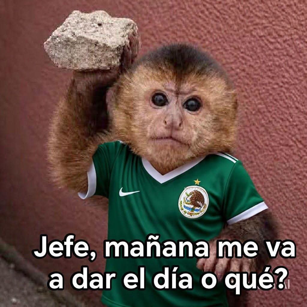 🇲🇽 México Mágico ✨ tweet media