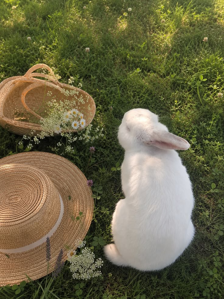 jmlostjamsjar's tweet photo. ୭ৎ  how pinterest sees me ⦂ 

♡ྀི  my character (maomao mah babyy)
♡ྀི  my place
♡ྀི  my plant
♡ྀི  my animal https://t.co/o980oVNHo8
