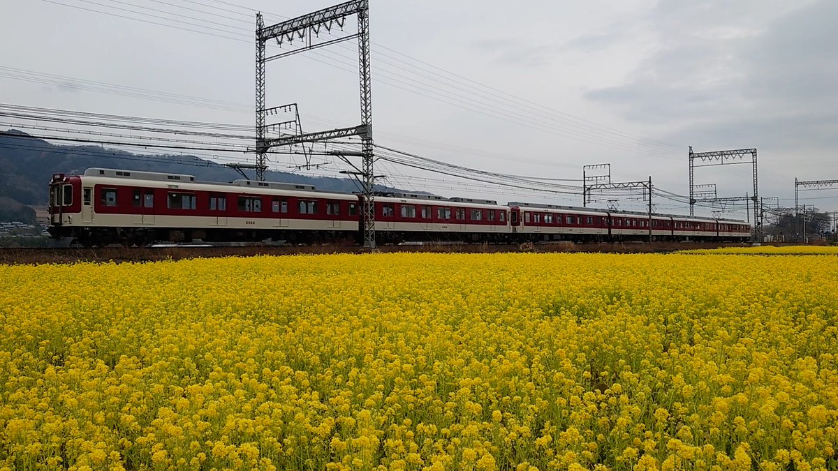 tabitetsu_ch's tweet photo. 【菜の花畑2026】⑥
三重県名張市矢川の菜の花畑の側を走る近鉄電車を撮りました。
撮影日：2026年3月中旬
#近鉄大阪線
#赤目口の菜の花畑
#21020系アーバンライナーnext 
#23000系伊勢志摩ライナー 
#三重県名張市
https://t.co/1TZ01iorFe https://t.co/GidT6Hi6en