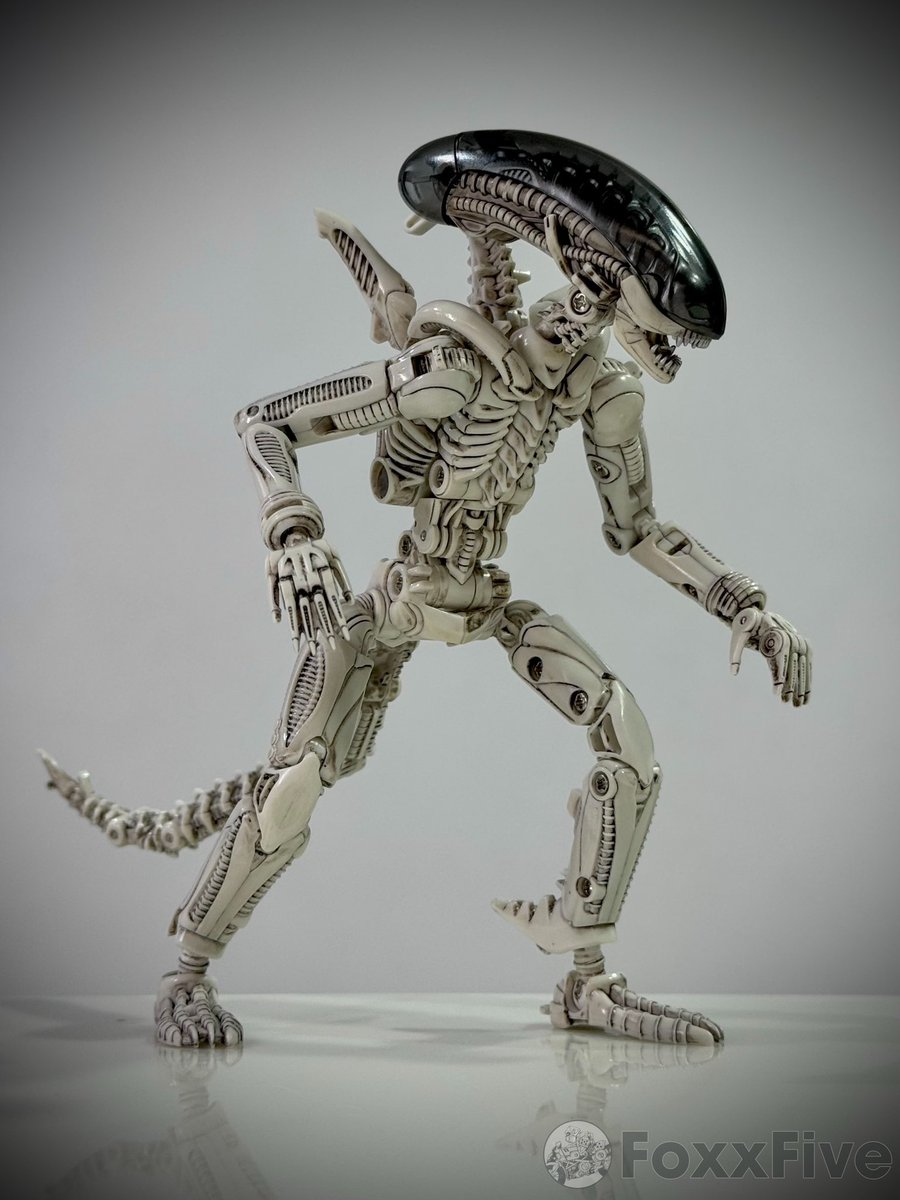 foxracingfive's tweet photo. Resident of LV-426 @52ToysBeastBox #52toys #beastbox #ビーストボックス #xenomorph #alien https://t.co/9OowsNRbeU