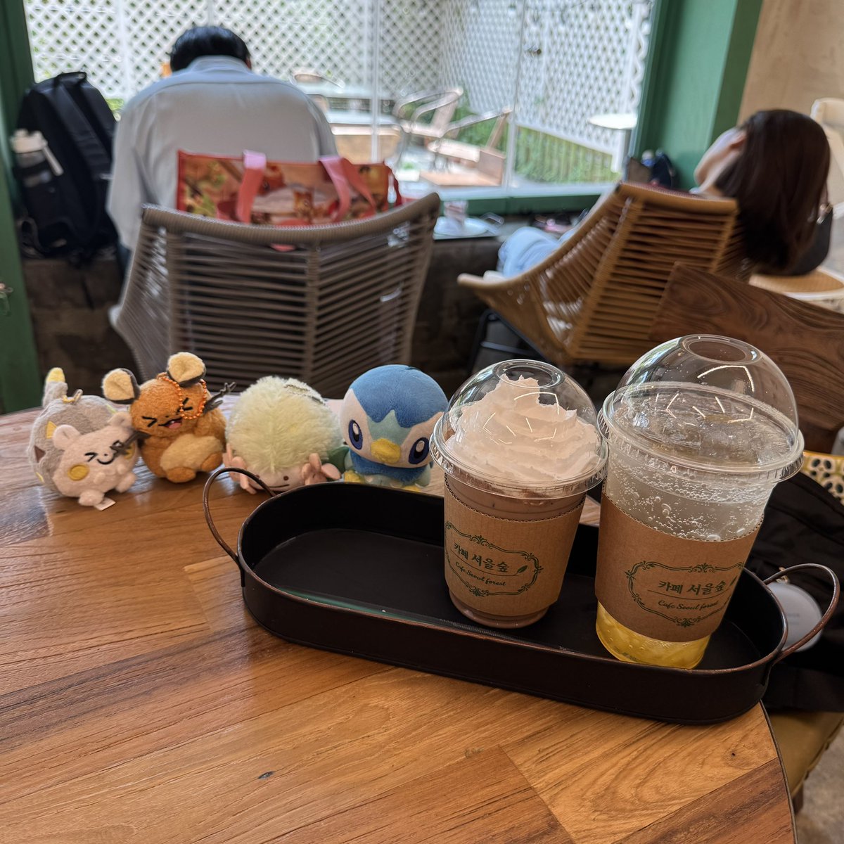 마효의 팽도리 tweet media