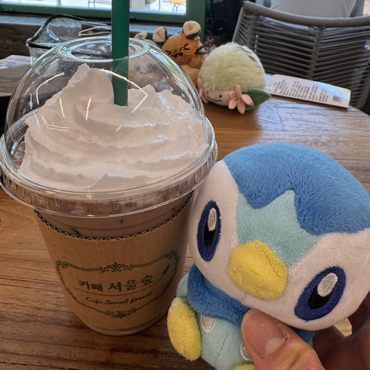 마효의 팽도리 tweet media