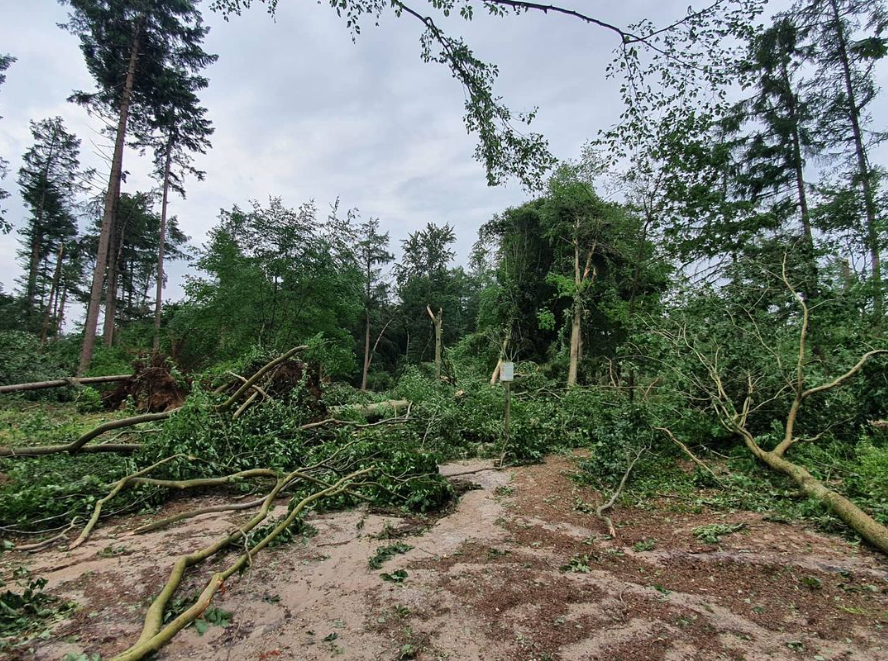 weerverteller's tweet photo. Vandaag, donderdag 18 juni is het precies 5 jaar geleden dat een valwind Leersum trof. Een terugblik op een dag, die het leven van veel inwoners in één klap veranderde. https://t.co/FOmLrPPntI #Leersum #valwind #18juni2026 #stormpad
Foto: Reinout van den Born https://t.co/hpcvtnpa7L