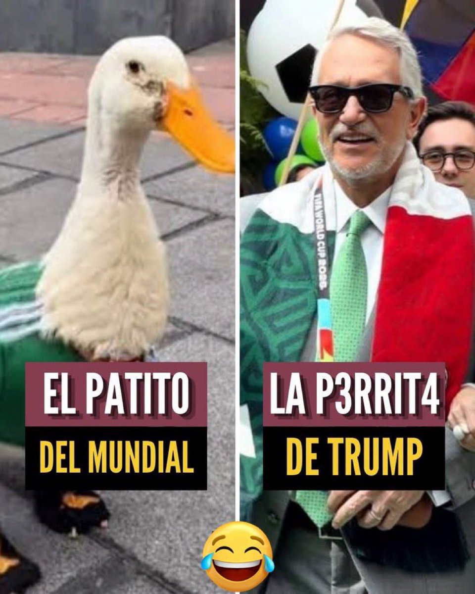 chipotless's tweet photo. @RicardoBSalinas @PartidoMorenaMx Ahorita no Ricardo, andamos con la tendencia del pato Merlín y la poderosa PERRA DE TRUMP. 😮‍💨 https://t.co/U4FMo8ogFG
