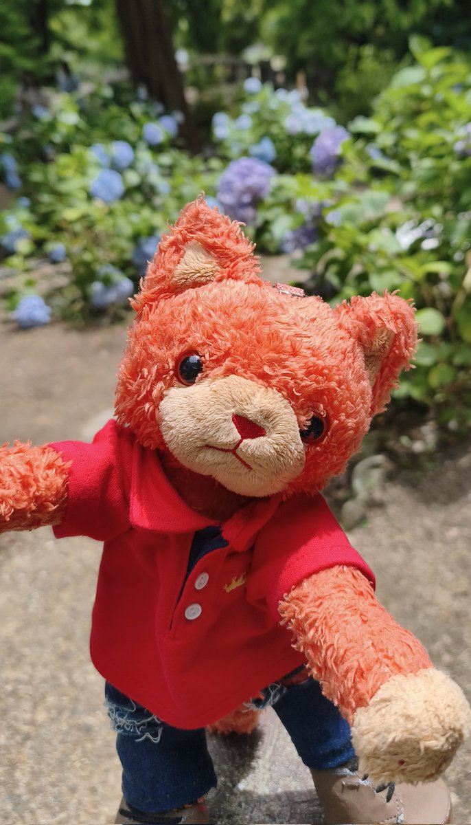 kai026681's tweet photo. ロッソ）ねえねえ、いっしょにおさんぽ？😊
ロッソくん、気を付けてね
ロッソ）だいじょうぶ、おててをつなぎくれたから😊
…そうか😳一生離さないよ！😣💕💕
#プリンスキャット https://t.co/zcb2Dg12rQ